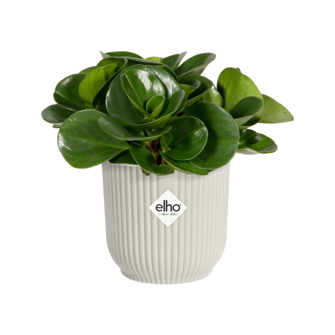 vibes fold round mini 9cm silky white